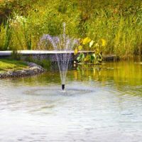 Pond & Fountain Pumps